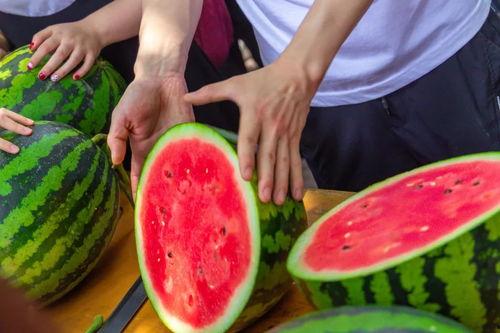 免费学校吃瓜,揭秘教育公平的甜蜜与苦涩